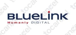 Bluelink