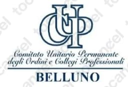 Cup Belluno