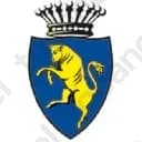 Tari Torino