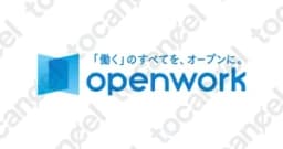 Openwork