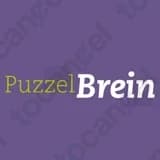 Puzzelbrein
