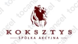 Koksztys