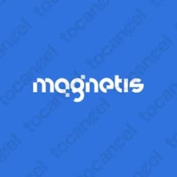 Magnetis