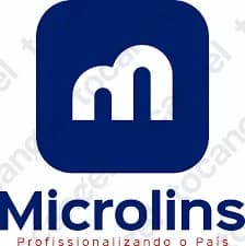 Microlins