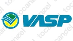 Vasp