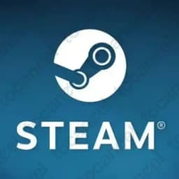 Steam