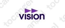 Vision