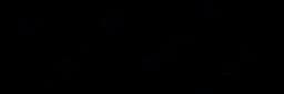 Wifog