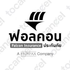 Falcon Insurance