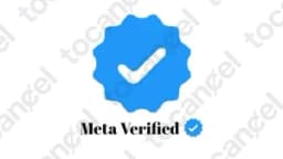 Meta Verified