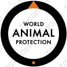 World Animal Protection