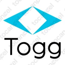 Toggl