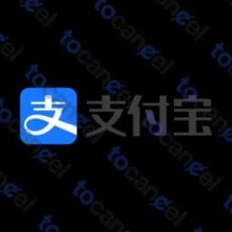 支付寶 (Alipay)