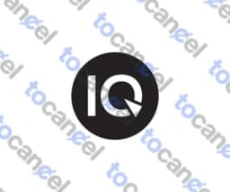 Iq Score
