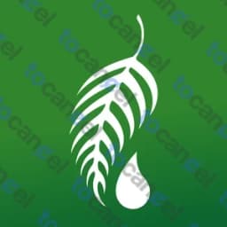 Melaleuca