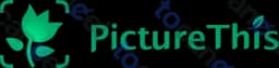 Picturethis