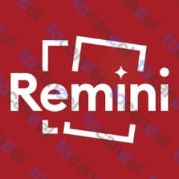 Remini