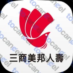 三商美邦
