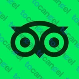 Tripadvisor