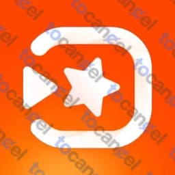 小影 (Vivavideo)