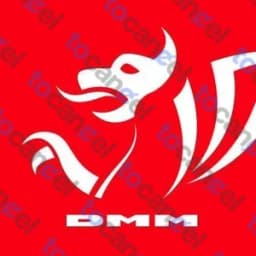 Dmm Verlag