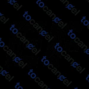 Efs