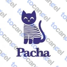 Pacha