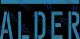 Alder Security