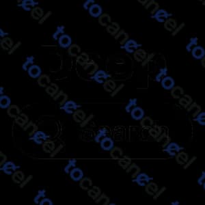 Deepsearch Ai