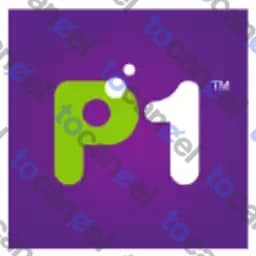 P1 Wimax