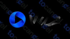 Vuz