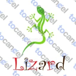 Funlizard