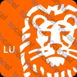 ING Luxembourg