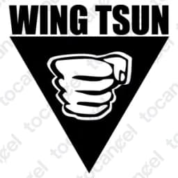 Wing Tsun