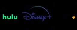 Disney Bundle