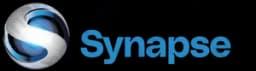 Synapse Group