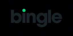 Bingle