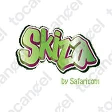 Skiza