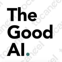 The Good Ai