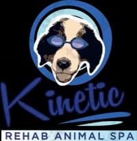 Kinetic