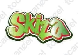 Skiza