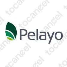 Pelayo