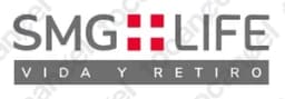 Smg Life Seguros