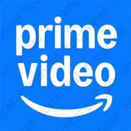 Lettre de Résiliation Prime Vidéo