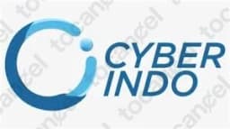 Cyberindo