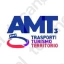 Amt Services