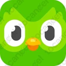 Duolingo
