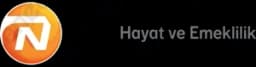Nn Hayat Emeklilik