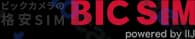 Bic Sim