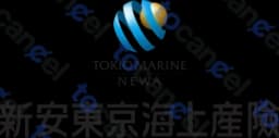 新安東京海上產物